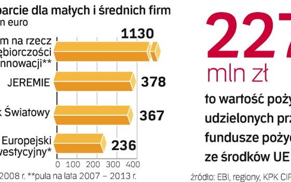 Światowe instytucje finansowe i UE hojnie wspierają małe firmy. Pożyczki czy gwarancje to alternatyw