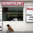 Kościół apeluje o trzeźwość