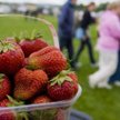 Trwa sezon na truskawki. To dobry moment by włączyć je do swojej diety