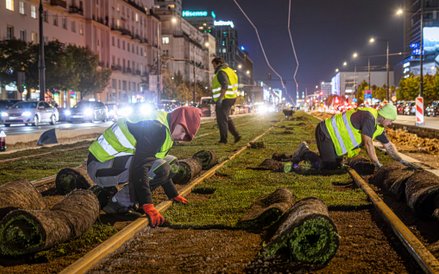 Odcinek torowiska pomiędzy Świętkorzyską a Królewską dzięki pracy wielu osób jest już zielony