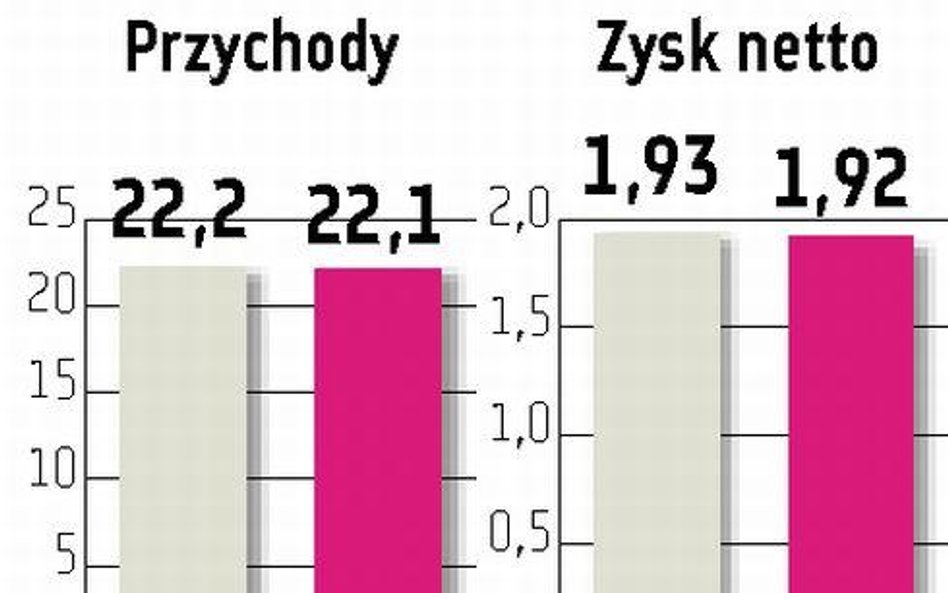 Teta obiecuje wzrost w 2010 roku