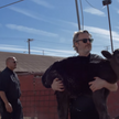 Joaquin Phoenix uratował krowę i cielę z rzeźni