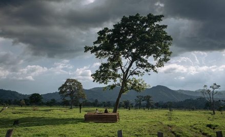 Sielankowy obraz z dawnej belgijskiej kolonii – prowincja Kiwu Północne w Demokratycznej Republice K