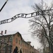 Najważniejszymi gośćmi mają być ocaleni z obozu Auschwitz