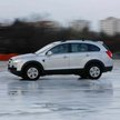Młodzi kierowcy będą jeździć z zielonymi listkami