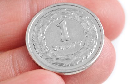Złoty złapał zadyszkę. Czy w tym roku jeszcze pokaże kły?