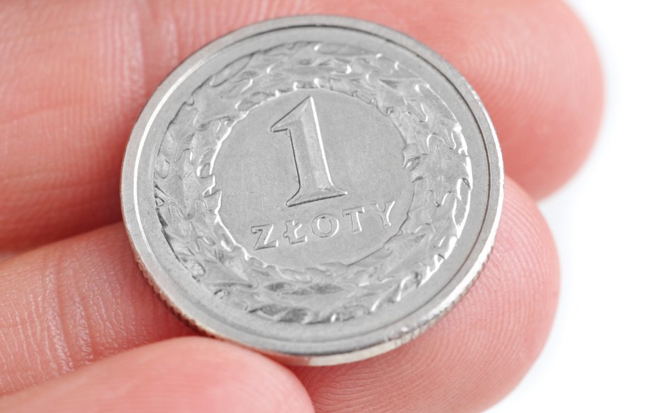 Złoty złapał zadyszkę. Czy w tym roku jeszcze pokaże kły?