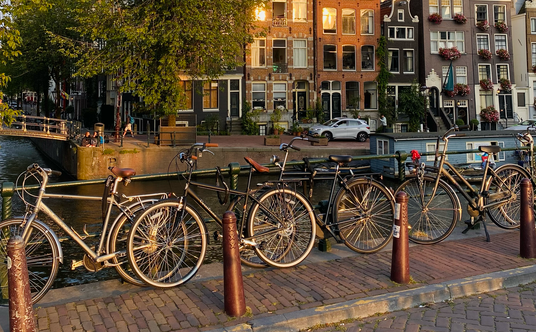 Rowerem można dojechać do miejsc, do których nie docierają tramwaje i autobusy