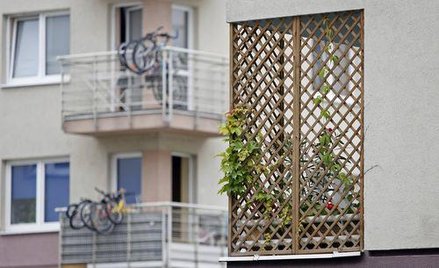 Architekt ma prawo do twego balkonu