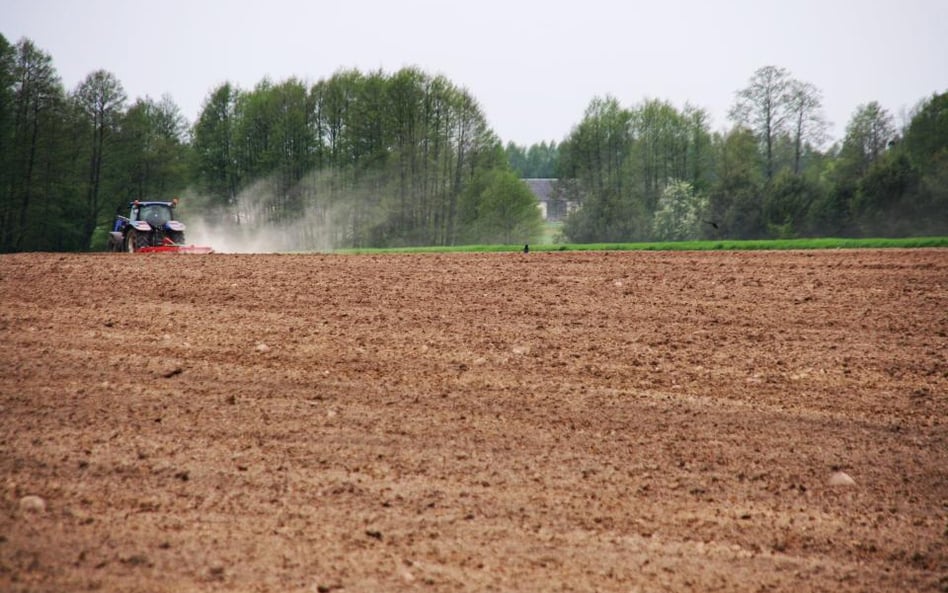 TFI: Wszyscy zasypani ziemią