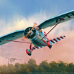 Franciszek Żwirko i Stanisław Wigura na RWD-6 (SP-AHN numer startowy 06) Challenge, 1932 r.