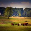 Kiedy agroturystyka jest zwolniona z PIT