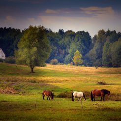 Kiedy agroturystyka jest zwolniona z PIT