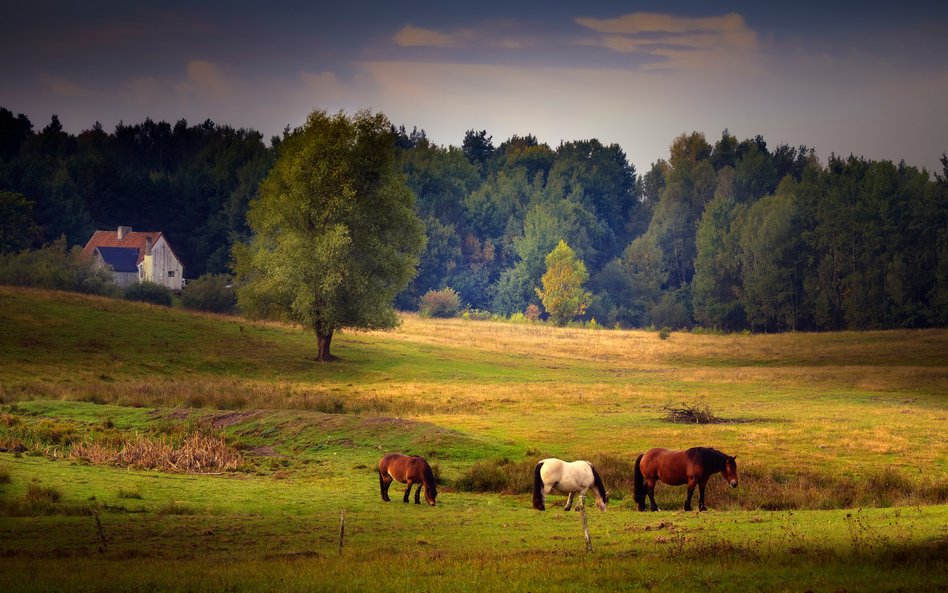 Kiedy agroturystyka jest zwolniona z PIT