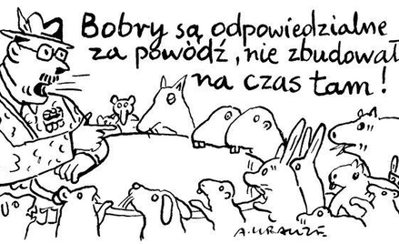 Komentarz rysunkowy