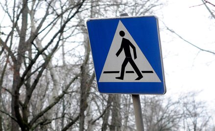 Wypadek w Wągrowcu. Dwuletnie dziecko zostało potrącone na pasach. Jest nagranie zdarzenia (fot. ilu