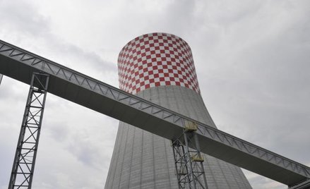 Elektrownie mają problem z Unią
