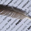 Nie ma VAT od honorarium ze sprzedaży wydawnictwu praw do własnych utworów literackich