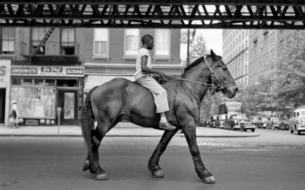 African American Man on Horse NYC. ©Vivian Maier/Maloof Collection