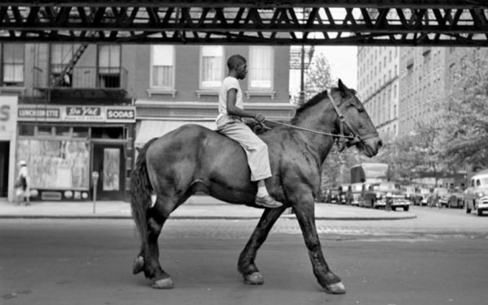 African American Man on Horse NYC. ©Vivian Maier/Maloof Collection