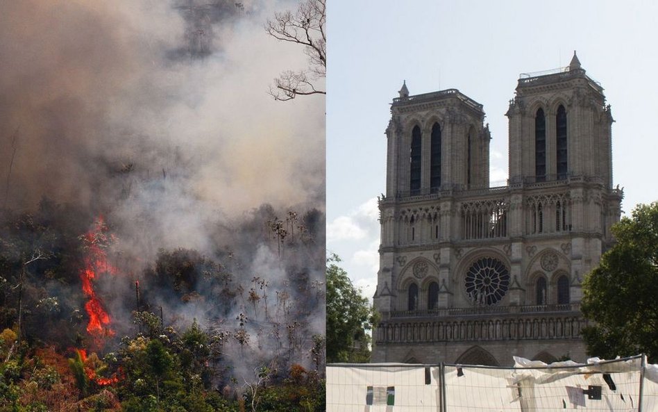 "Miliard dolarów na Notre Dame, 20 mln dolarów na Amazonię?"