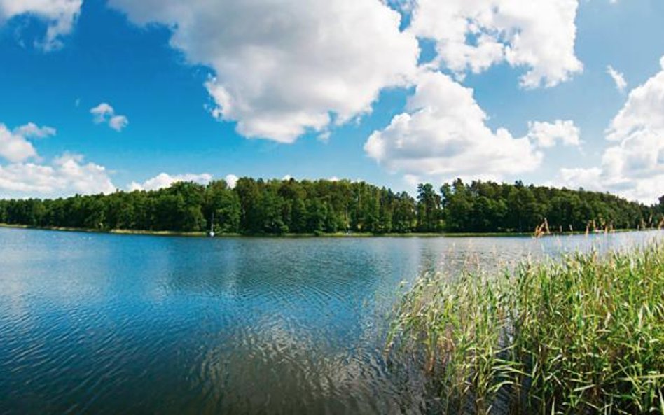 Zakup gruntu na Warmii i Mazurach może być niezłą lokatą kapitału