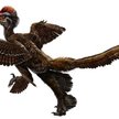 Pierzasty dinozaur ważył tyle co szpak