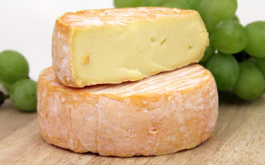 Dziki niszczą kultowy francuski ser
