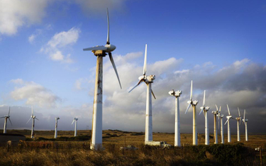 Norwegia zbuduje największą farmę wiatrową na stałym lądzie w Europie