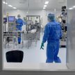 Powstaje szczepionka na COVID dla zwierząt. Jest testowana na norkach i kotach