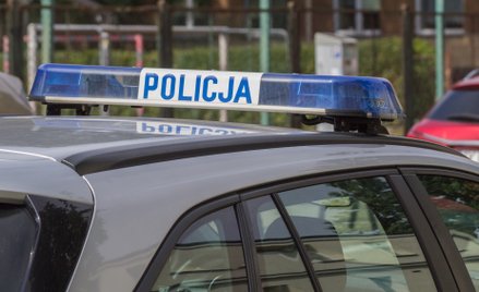 Pomnik żołnierzy UPA ponownie uszkodzony. Policja szuka sprawców