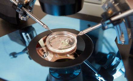 Chiny: Władze potwierdzają drugą ciążę modyfikowaną genetycznie