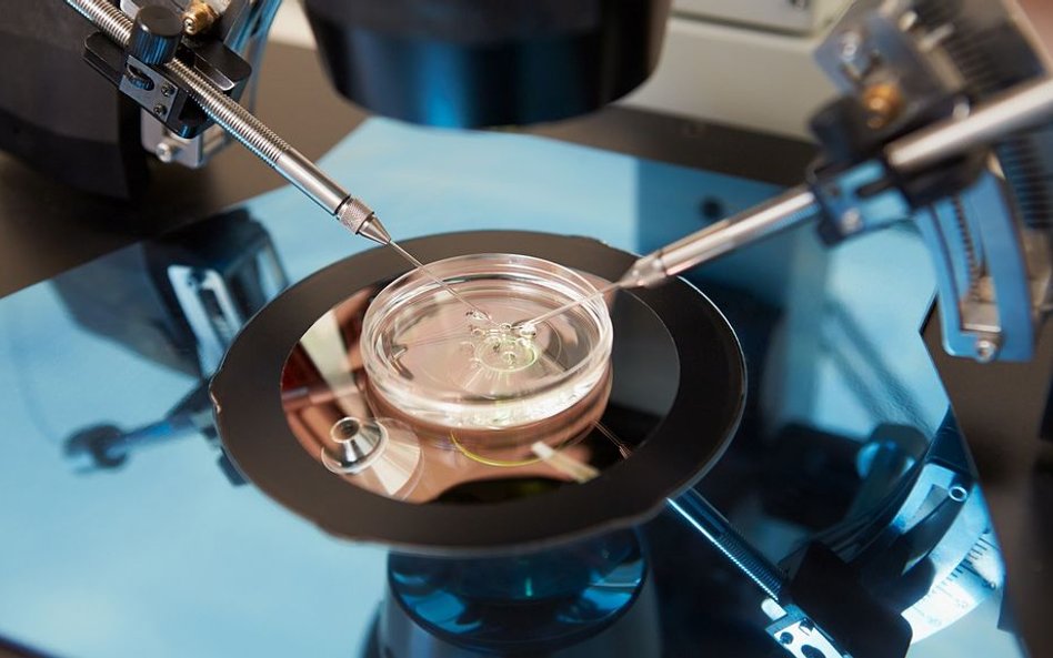 Chiny: Władze potwierdzają drugą ciążę modyfikowaną genetycznie