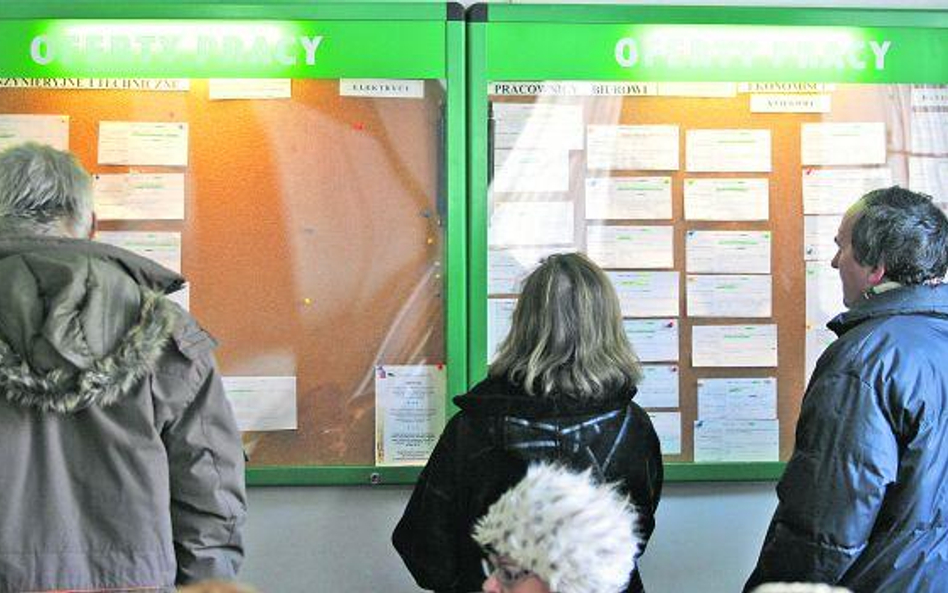 W statystykach ofert pracy coraz więcej jest propozycji staży.