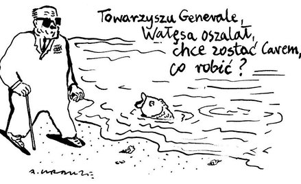 Komentarz rysunkowy. Towarzyszu Generale, Wałęsa oszalał