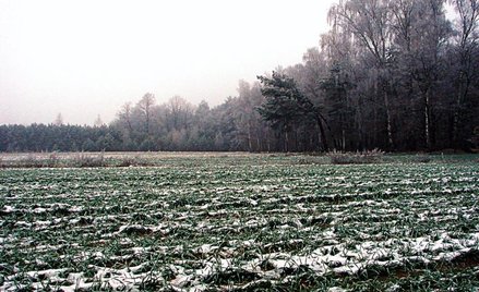 Chętnych do zarabiania na ziemi nie brakuje