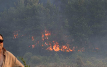 Czarnogóra – turyści ewakuowani z powodu pożarów