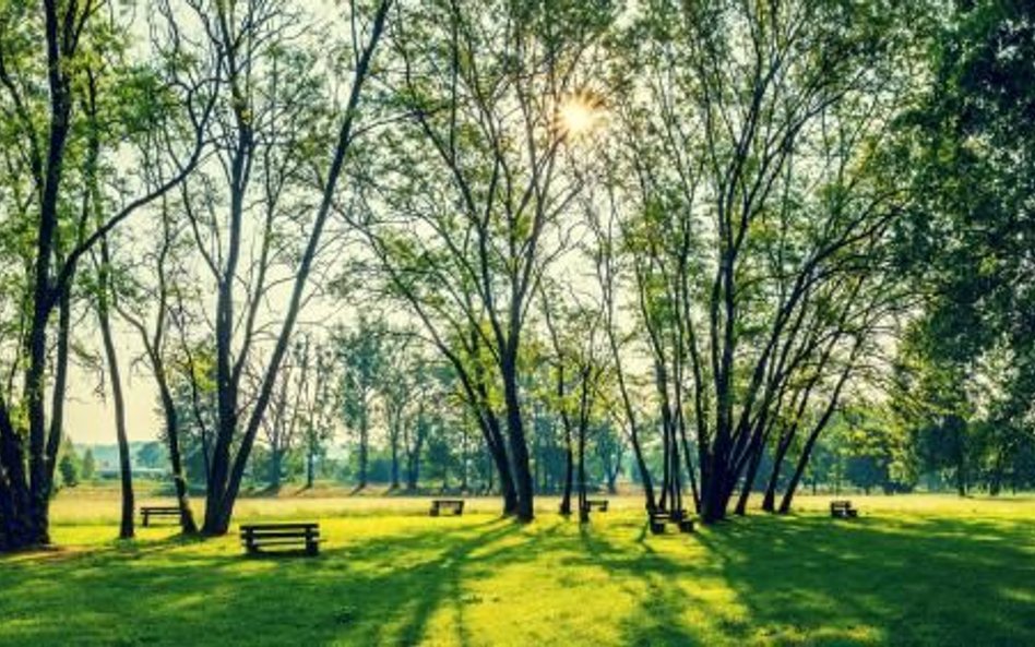 W regionie prowadzone są nie tylko duże inwestycje infrastrukturalne,  ale i działania na mniejszą s