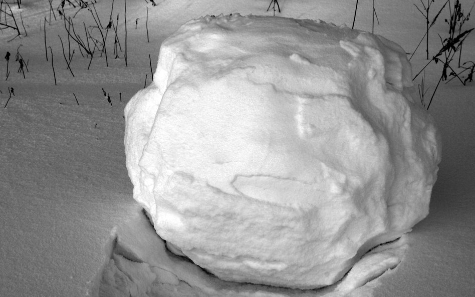 Surowe prawo vs. sprawiedliwy wyrok – dylematy współczesnych procesów