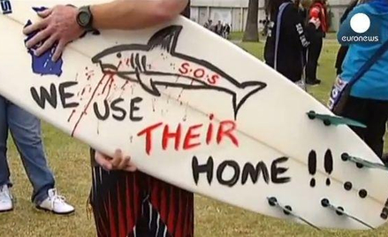 Australijczycy protestują przeciw zabijaniu rekonów
