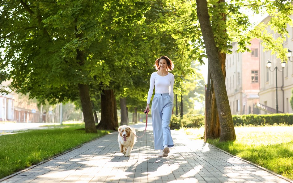 Analizy wykazały, że u większości dorosłych już 5 minut dodatkowego marszu dziennie w umiarkowanym t