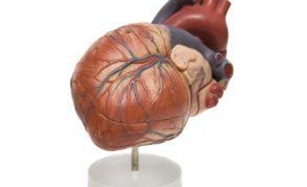 Zakład odpowie za chorobę parazawodową