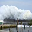 Tsunami zagrażają ekosystemom morskim