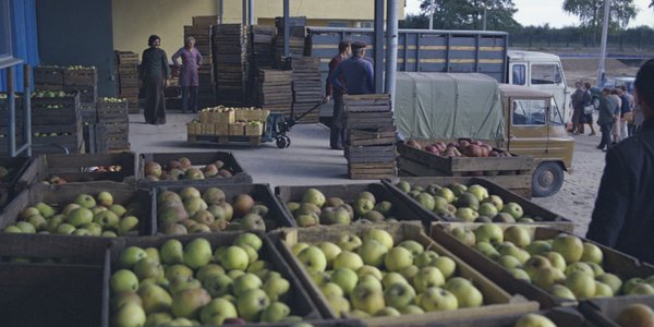 Zmowa punktów skupu na szkodę rolników. Są wysokie kary