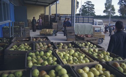 Niska lub nawet taka sama cena w kilku miejscach nie oznacza automatycznie, że mamy do czynienia ze 