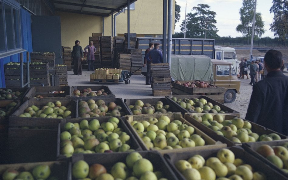Niska lub nawet taka sama cena w kilku miejscach nie oznacza automatycznie, że mamy do czynienia ze 
