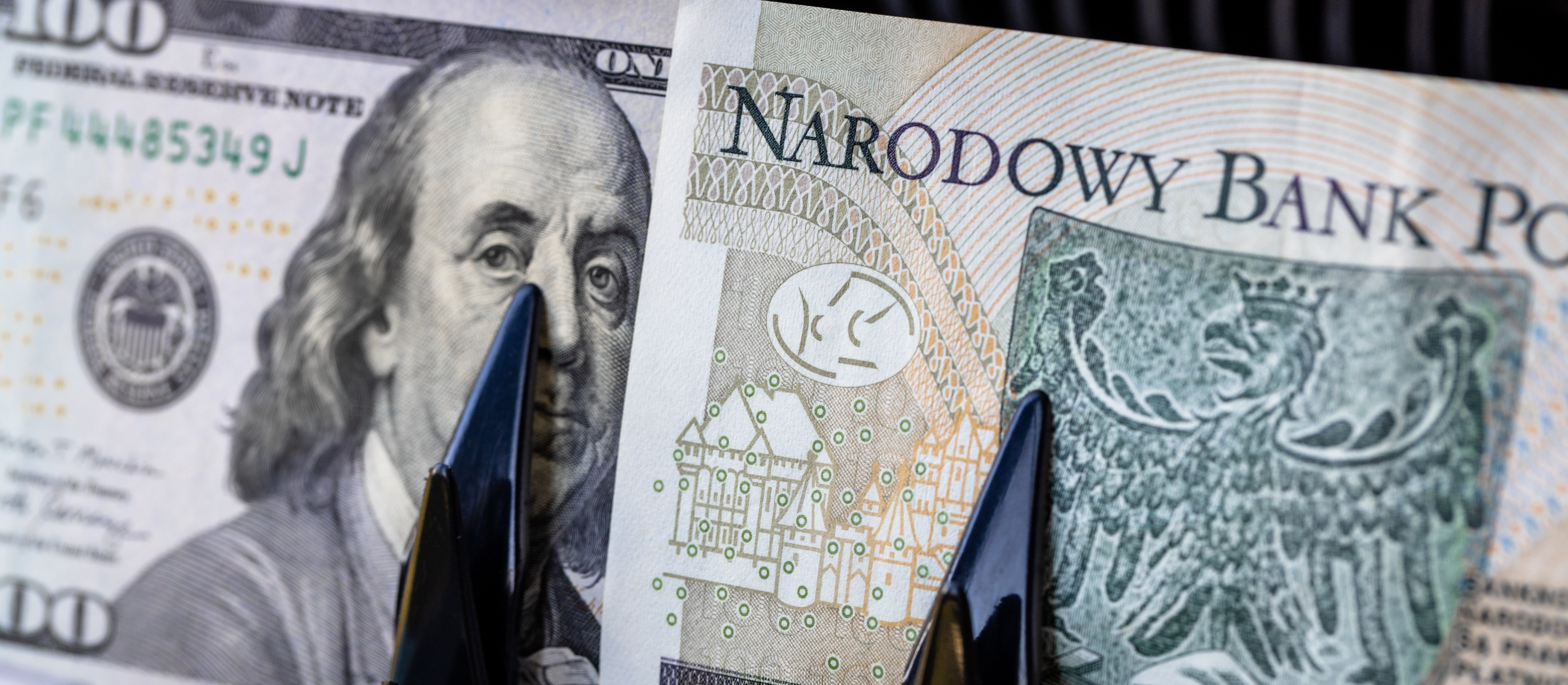 Drogi dolar, słabszy złoty i wizja podwyżek stóp. Rynek czeka na decyzje Fed i RPP