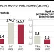 Protektor: Na celowniku niemiecka firma