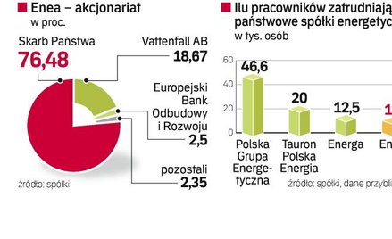 Firma, dostarczając energię elektryczną do 2,3 mln odbiorców wypracowała w I półroczu 2009 r. prawie