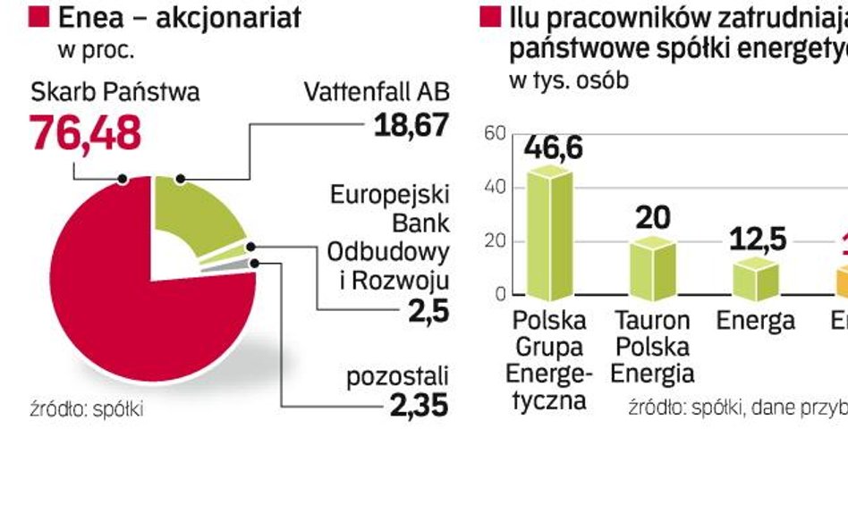 Firma, dostarczając energię elektryczną do 2,3 mln odbiorców wypracowała w I półroczu 2009 r. prawie